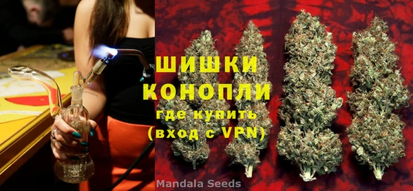 дживик Богородицк