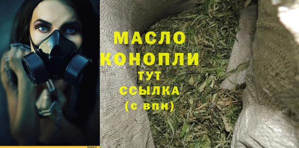 дживик Богородицк
