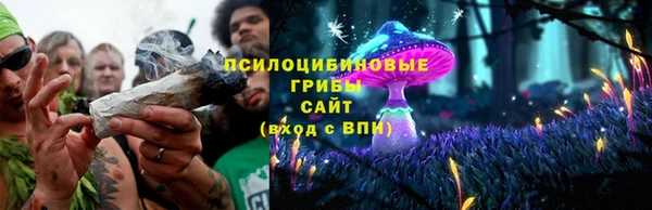 дживик Богородицк