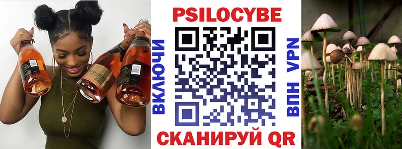 Купить закладки Верхнеуральск Галлюциногенные грибы Cubensis
